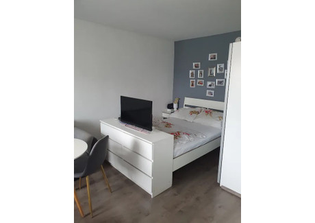 Mieszkanie do wynajęcia - Schrickgasse Vienna, Austria, 30 m², 719 USD (2940 PLN), NET-90247224