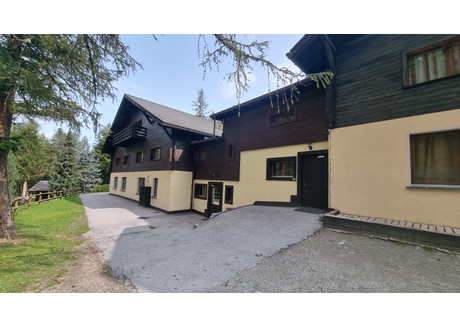 Hotel na sprzedaż - Zinal, Szwajcaria, 1130 m², 2 762 519 USD (11 464 456 PLN), NET-94738149