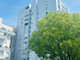 Mieszkanie na sprzedaż - Lisboa, Portugalia, 72 m², 231 727 USD (926 907 PLN), NET-96942914