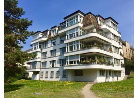 Mieszkanie do wynajęcia - Im Schilf Zurich, Szwajcaria, 155 m², 6281 USD (25 689 PLN), NET-100405240