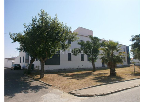 Dom na sprzedaż - Jerez De Los Caballeros, Hiszpania, 530 m², 202 523 USD (828 320 PLN), NET-98085055