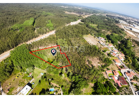 Działka na sprzedaż - Cantanhede, Portugalia, 4160 m², 19 883 USD (81 321 PLN), NET-101154076