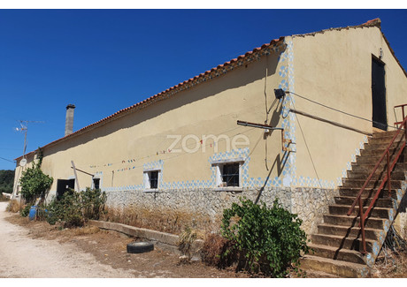 Dom na sprzedaż - Santarém, Portugalia, 165 m², 265 865 USD (1 066 117 PLN), NET-82772230