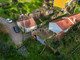 Dom na sprzedaż - Miranda Do Corvo, Portugalia, 84 m², 31 992 USD (126 047 PLN), NET-94252961