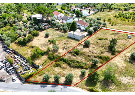 Działka na sprzedaż - Coimbra, Portugalia, 2250 m², 78 600 USD (328 547 PLN), NET-94967530