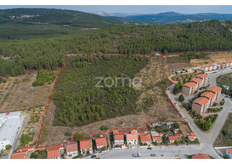 Działka na sprzedaż - Sabrosa, Portugalia, 35 950 m², 638 956 USD (2 619 718 PLN), NET-85466162