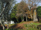 Dom na sprzedaż - Cinfaes, Portugalia, 110 m², 106 032 USD (417 765 PLN), NET-85603950