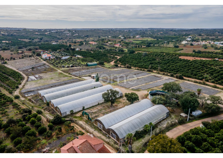 Działka na sprzedaż - Silves, Portugalia, 30 000 m², 240 688 USD (984 413 PLN), NET-92936864