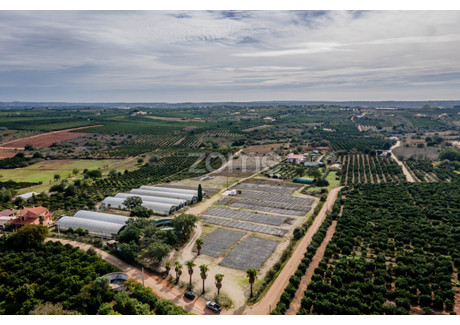 Działka na sprzedaż - Silves, Portugalia, 30 000 m², 257 376 USD (988 325 PLN), NET-92936864