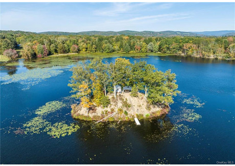 Działka na sprzedaż - 71 Lake Shore Drive, Dutchess, NY Pine Plains, Usa, 3439,83 m², 650 000 USD (2 645 500 PLN), NET-101374808