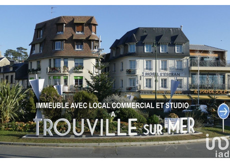 Komercyjne na sprzedaż - Trouville-Sur-Mer, Francja, 49 m², 232 132 USD (949 422 PLN), NET-97092534