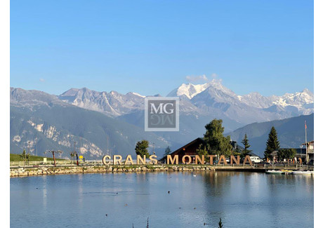 Dom na sprzedaż - 42 Rue Centrale Crans-Montana, Szwajcaria, 385 m², 2 329 938 USD (8 946 963 PLN), NET-100969952