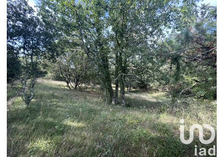 Działka na sprzedaż - Lagorce, Francja, 4376 m², 152 996 USD (625 755 PLN), NET-101506305