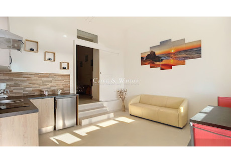 Mieszkanie na sprzedaż - Saint Raphael, Francja, 36 m², 308 596 USD (1 243 643 PLN), NET-94413675