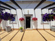 Dom na sprzedaż - Ferreiras Portugalia, 102 m², 341 254 USD (1 375 252 PLN), NET-73130261