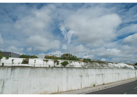 Działka na sprzedaż - Rio de Mouro Sintra, Portugalia, 16 640 m², 2 383 359 USD (9 390 434 PLN), NET-72505430