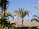 Dom na sprzedaż - Marbella, Hiszpania, 991 m², 4 815 583 USD (19 406 799 PLN), NET-96416556