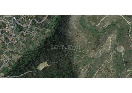 Działka na sprzedaż - Sarnadas De São Simão, Portugalia, 34 500 m², 19 825 USD (81 280 PLN), NET-96125026