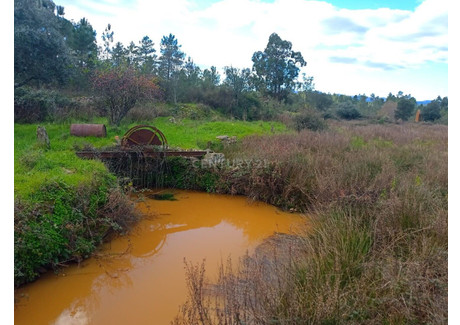 Działka na sprzedaż - Salgueiro Do Campo, Portugalia, 38 680 m², 46 204 USD (181 119 PLN), NET-96122764