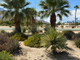 Mieszkanie na sprzedaż - 3079 Sunflower Circle E Palm Springs, Usa, 77,76 m², 314 900 USD (1 306 835 PLN), NET-100984112