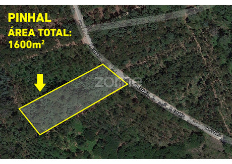 Działka na sprzedaż - Oliveira Do Bairro, Portugalia, 1600 m², 10 301 USD (42 748 PLN), NET-76645912