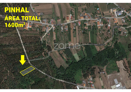 Działka na sprzedaż - Oliveira Do Bairro, Portugalia, 1600 m², 10 398 USD (43 151 PLN), NET-76645912