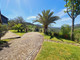 Dom na sprzedaż - Oliveira De Frades, Portugalia, 936 m², 1 461 322 USD (5 757 609 PLN), NET-96947653