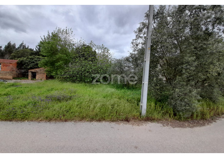 Działka na sprzedaż - Anadia, Portugalia, 1200 m², 25 879 USD (107 397 PLN), NET-91819540