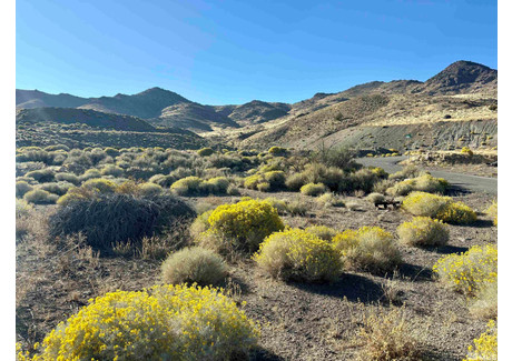 Działka na sprzedaż - 1 Sheep Camp Dr, Lyon County, NV Dayton, Usa, 4046,86 m², 135 000 USD (549 450 PLN), NET-102144977