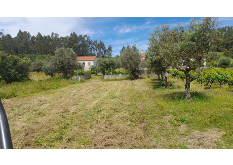 Działka na sprzedaż - Serra E Junceira, Portugalia, 1760 m², 19 795 USD (80 961 PLN), NET-97763202