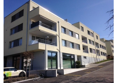 Mieszkanie do wynajęcia - Schulweg Port, Szwajcaria, 85 m², 1947 USD (8081 PLN), NET-102249641