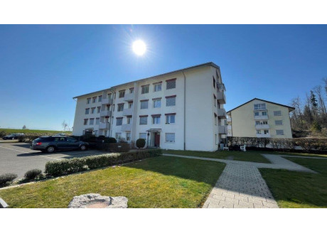 Mieszkanie do wynajęcia - Schützenhausstrasse Oetwil Am See, Szwajcaria, 55 m², 1791 USD (7200 PLN), NET-101377582