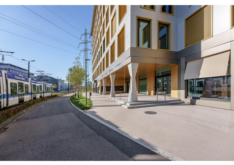 Biuro do wynajęcia - Zürichstrasse Dübendorf, Szwajcaria, 1325 m², 252 USD (1030 PLN), NET-90276488