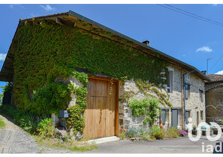 Dom na sprzedaż - Verneuil-Sur-Vienne, Francja, 165 m², 403 808 USD (1 550 621 PLN), NET-96923466