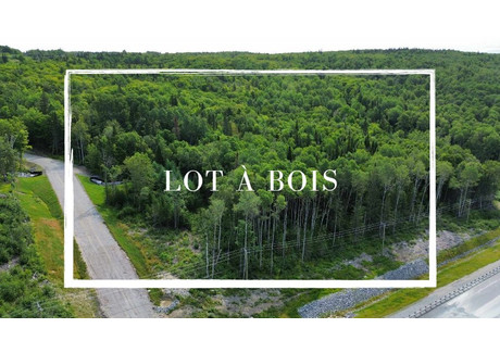 Działka na sprzedaż - 653 Route 185, Saint-Honoré-de-Témiscouata, QC G0L3K0, CA Saint-Honoré-De-Témiscouata, Kanada, 365 951 m², 168 859 USD (700 766 PLN), NET-99963424