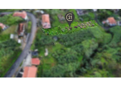 Działka na sprzedaż - Ilha Da Madeira, Porto Da Cruz, Portugalia, 1450 m², 63 045 USD (258 486 PLN), NET-96118281