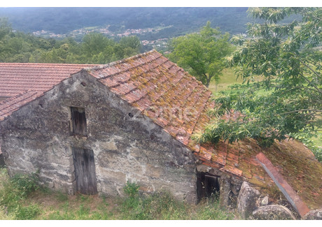 Dom na sprzedaż - Baiao, Portugalia, 60 m², 18 753 USD (76 699 PLN), NET-101914891