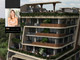 Mieszkanie na sprzedaż - 7JFC+C7, 77770 Balam Canché, Quintana Roo, Mexico Tulum, Meksyk, 45,69 m², 247 674 USD (1 035 276 PLN), NET-101347166