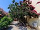 Komercyjne na sprzedaż - Old Tree Villa Kyrenia Northern Cyprus, Cypr, 150 m², 407 595 USD (1 667 064 PLN), NET-91165736