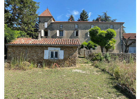 Dom na sprzedaż - Châteauneuf-De-Galaure, Francja, 550 m², 810 348 USD (3 257 599 PLN), NET-96914056