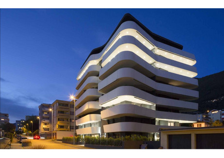 Mieszkanie na sprzedaż - Lugano, Szwajcaria, 88 m², 586 969 USD (2 365 486 PLN), NET-97151008