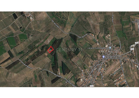 Działka na sprzedaż - Bombarral E Vale Covo, Portugalia, 3040 m², 8318 USD (34 521 PLN), NET-100664168