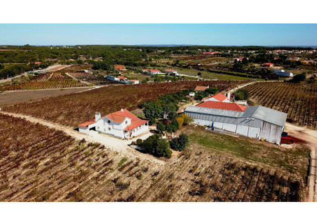 Dom na sprzedaż - Vila Chã De Ourique, Portugalia, 836 m², 3 104 289 USD (11 920 468 PLN), NET-96122546