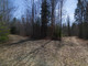 Komercyjne na sprzedaż - TBD East Pinewood Trail Roscommon, Usa, 39,02 m², 539 000 USD (2 193 730 PLN), NET-102914003