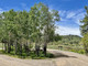 Dom na sprzedaż - 1329B Spring Valley Ranch Rd. Pagosa Springs, Usa, 399,48 m², 2 999 000 USD (11 516 160 PLN), NET-98072537