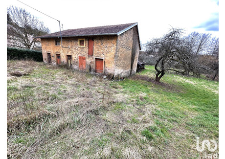 Dom na sprzedaż - Darney, Francja, 300 m², 44 315 USD (181 249 PLN), NET-101372486