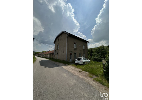 Dom na sprzedaż - Hennezel, Francja, 135 m², 54 595 USD (210 190 PLN), NET-94855286