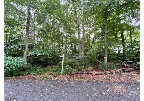 Działka na sprzedaż - 4 Shomokin Rd, Sussex, NJ Vernon Twp., Usa, 728,43 m², 20 000 USD (82 000 PLN), NET-99850726