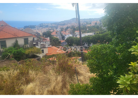 Działka na sprzedaż - Funchal, Portugalia, 430 m², 126 062 USD (516 855 PLN), NET-82978879