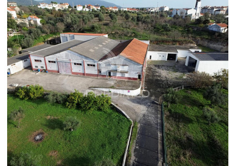 Magazyn na sprzedaż - Alcanena e Vila Moreira Alcanena, Portugalia, 2653 m², 634 230 USD (2 581 316 PLN), NET-102773551